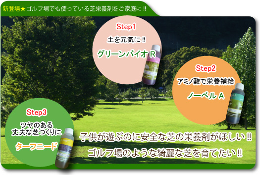 ����վ�Τ褦�ʤ��줤�ʼǡ��Ҷ���ͷ�٤�����ʼǤ��Ƥ뤿��ˡ����Ǥα��ܺ�